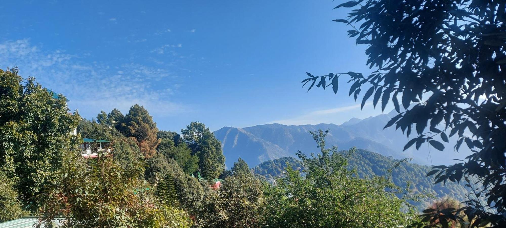 Blue Pine Resort Lansdowne Dış mekan fotoğraf